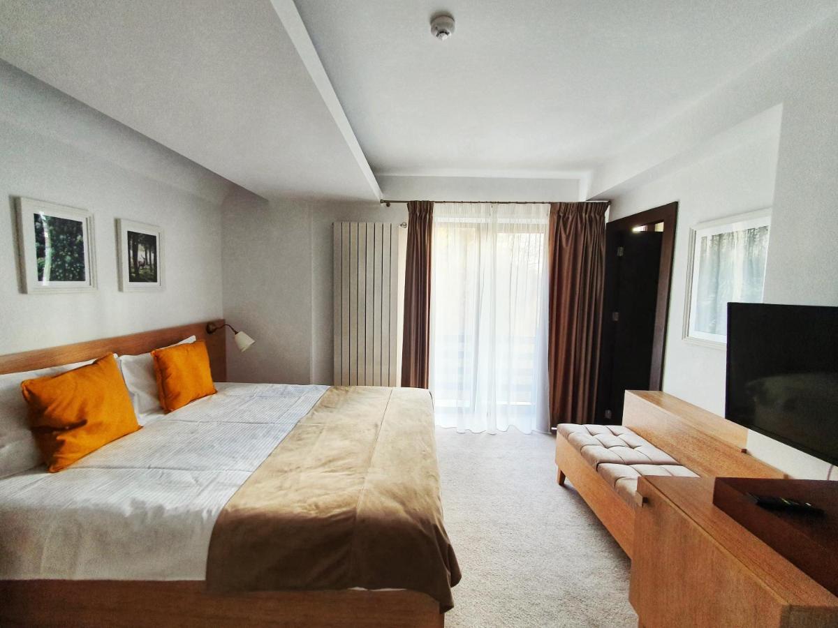 סינאיה Casa Varful Cu Dor מראה חיצוני תמונה